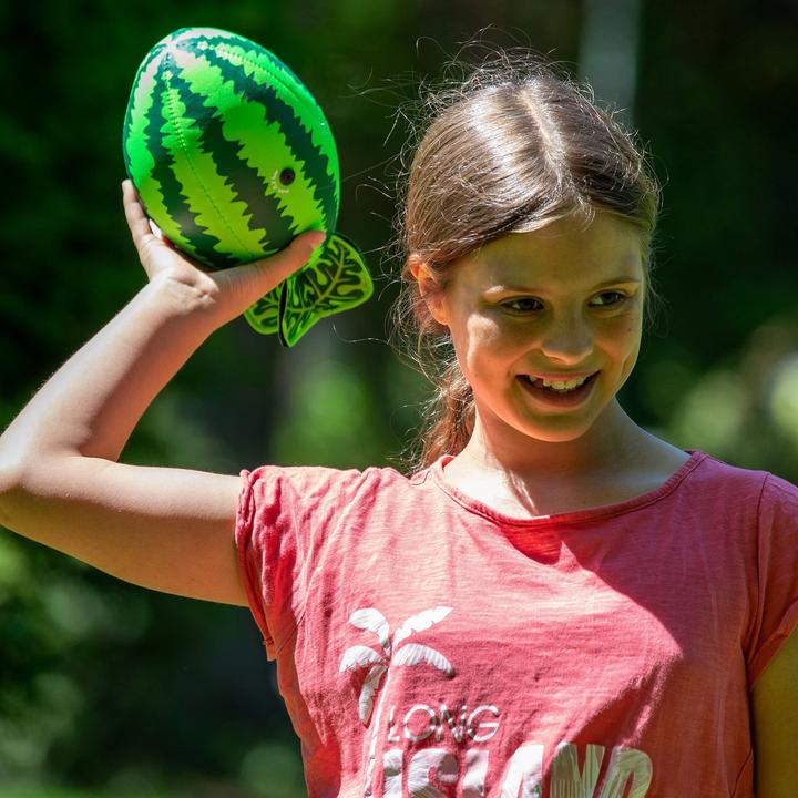 Actual product image Schildkröt watermelon