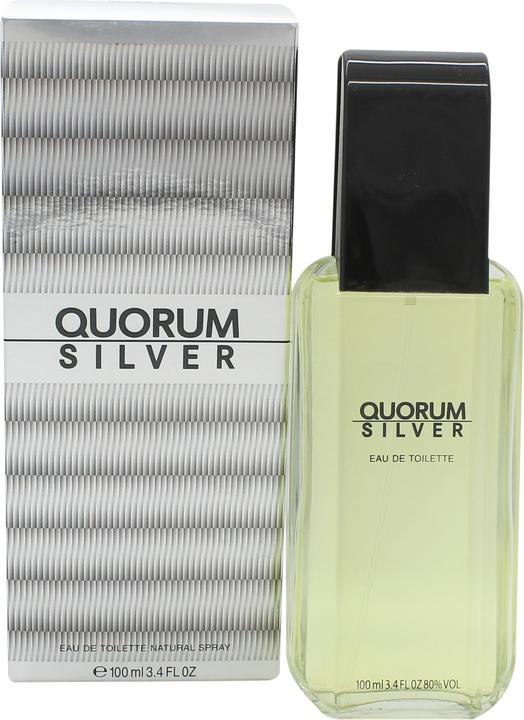 Image du produit Antonio Puig Quorum Silver (Eau de toilette, 100 ml)