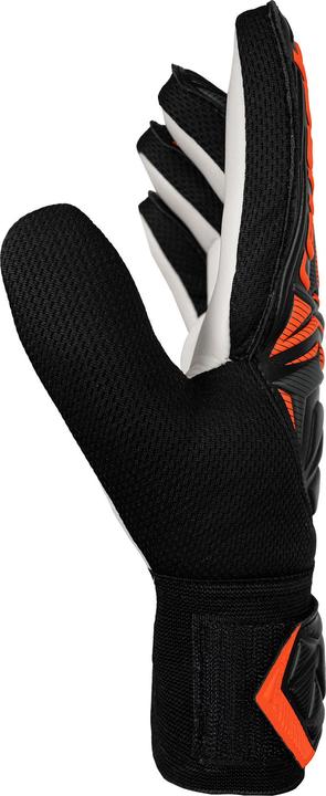 Produktbild Reusch Attrakt Starter Solid Torwarthandschuhe (10, 8, 9)
