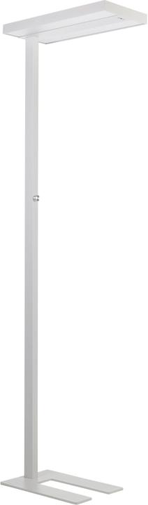Alco Floor lamp 9085-10 LED white (5400 lm)
