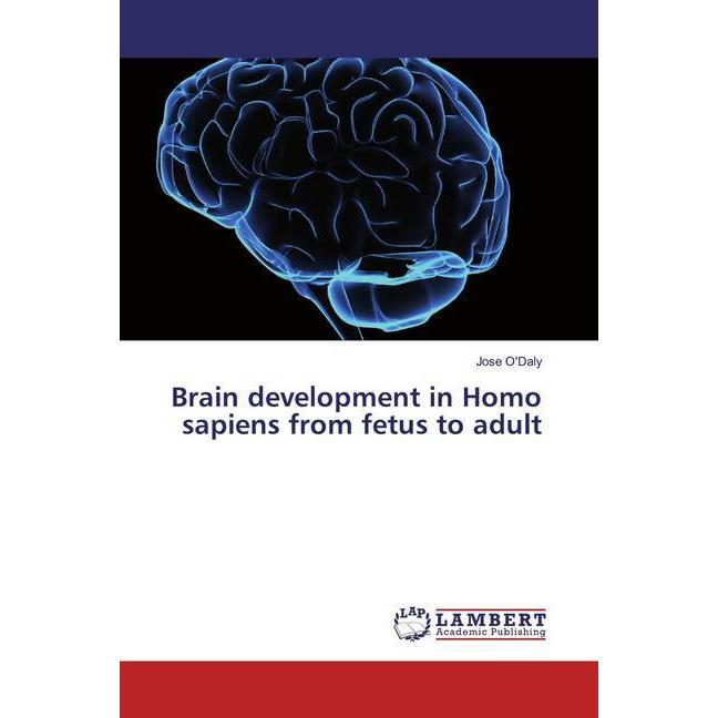 Brain development in Homo sapiens from fetus to adult, Fachbücher von Jose O'Daly