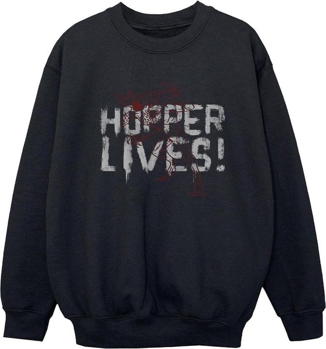 Image du produit Netflix - Sweat STRANGER THINGS HOPPERS LIVE - Garçon (128)