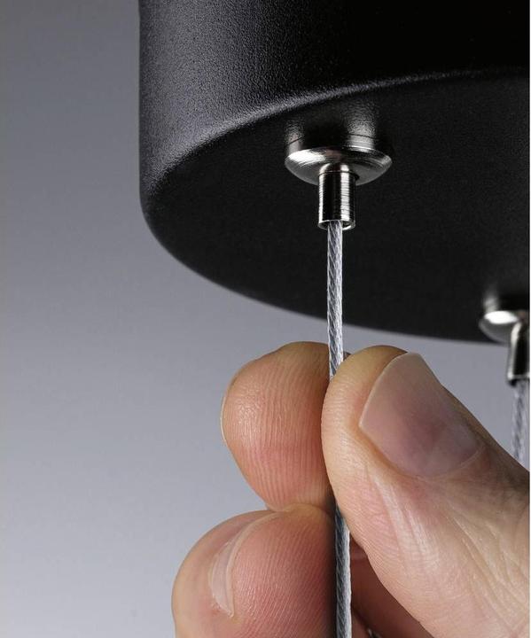 Image du produit Paulmann Suspension Volea