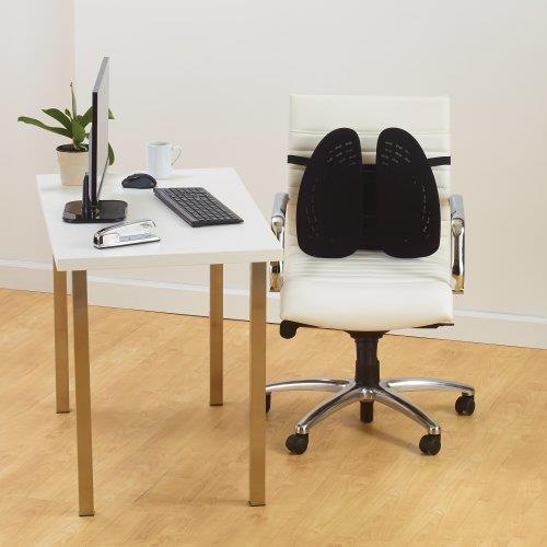 Actual product image Kensington K60412WW SmartFit adjustable back support