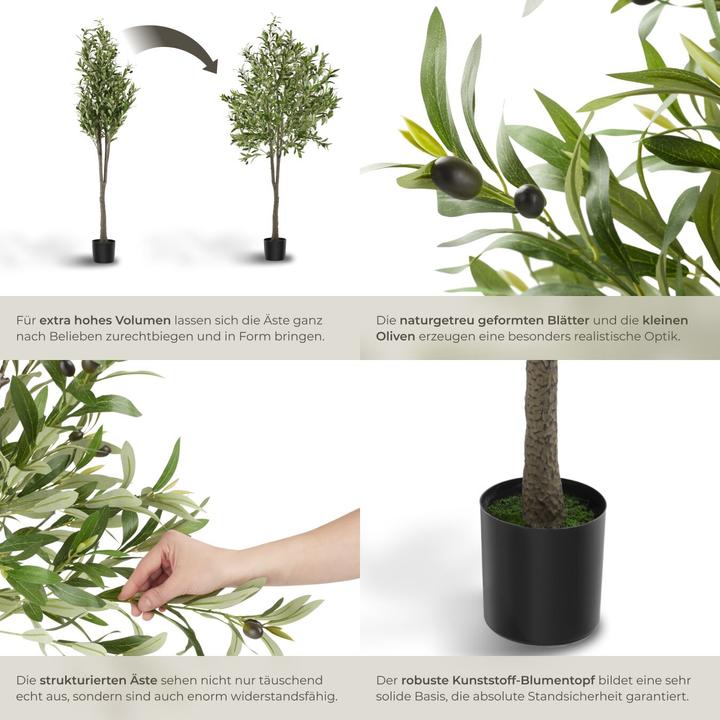 Image du produit tectake Olivenbaum Oleand (180 cm)