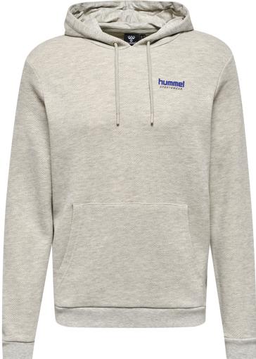 Produktbild hummel Lgc Austin Hoodie (L)