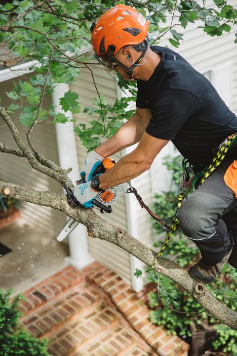 Actual product image Stihl MS 151 TC-E (Petrol chain saw)