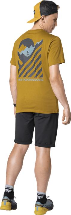 Actual product image Dynafit 24/7 Graphic T-Shirt (XXL)