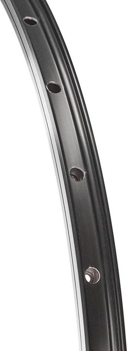 Actual product image DT Swiss 535 700c 36L black (28")