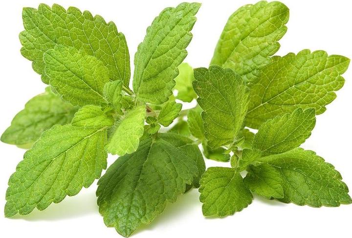 Produktbild Click and Grow Lemon Balm (Kräutersamen)