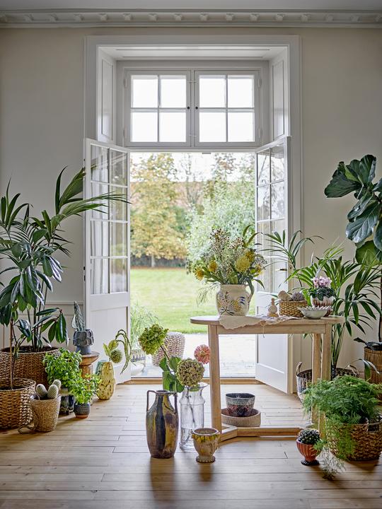 Image du produit Creative Collection Limone (16.50 x 16 cm)