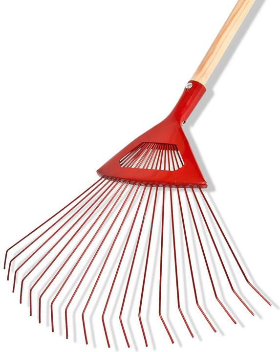 Actual product image BIG Rake leaves, wire fan 20 DD teeth