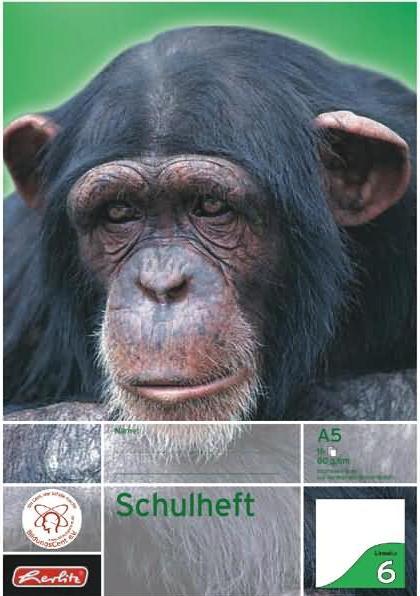 Actual product image Herlitz Exercise book x.book, DIN A5, ruling 6 / blank (A5, Plain, No binding)