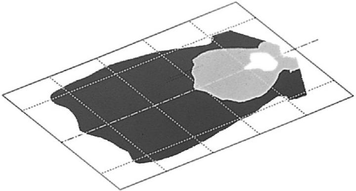Actual product image Hella Halogen worklights for BOMAG
