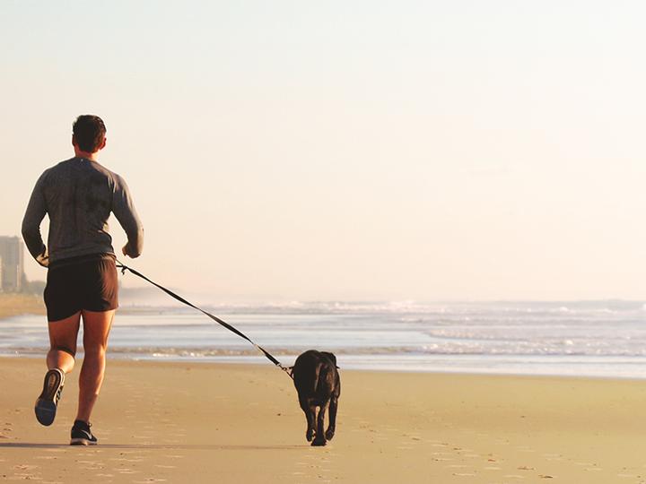 Actual product image PawLove Paw Love - Walking Leash with Belt, Hands-Free, Elasticated, Dog (Dog)