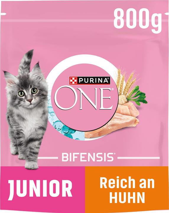 Actual product image Purina ONE Dried fodder (Junior, 1 pcs., 800 g)