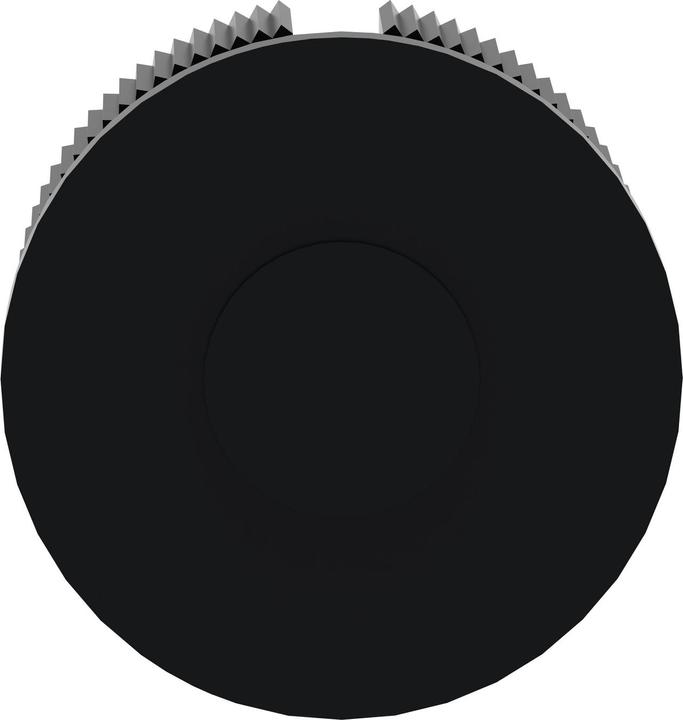 Produktbild Schneider Electric Blindstopfen 22mm schwarz