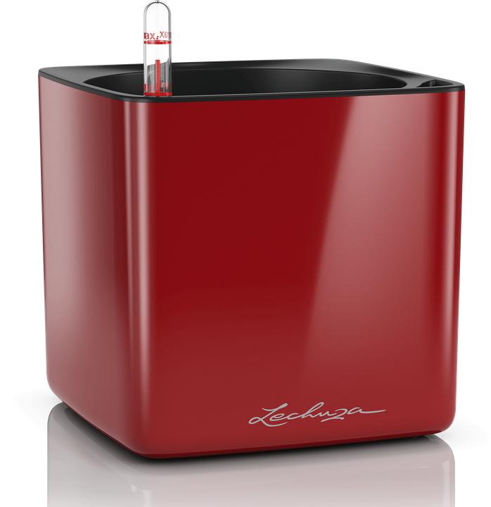 Produktbild Lechuza CUBE Glossy 16 (16 x 16 x 16 cm)