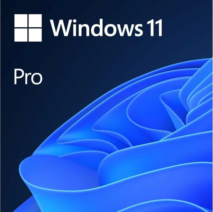 Actual product image Microsoft Windows 11 Pro (1 User, unlimited)