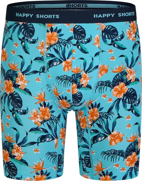 Immagine prodotto Happy shorts Langer Boxer Jersey Boxer Briefs (L, Confezione da 2)
