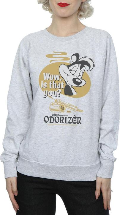 Image du produit Looney Tunes Sweatshirt Odorizer Pepe Le Pew Femmes/Dames (XL)