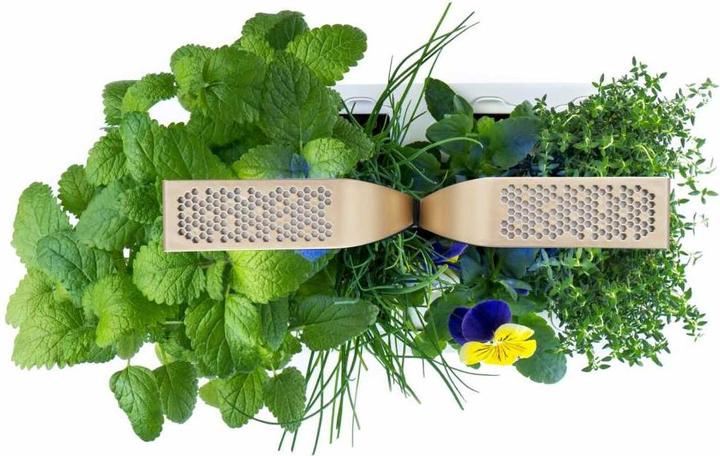 Produktbild Véritable Smart (18.50 cm)