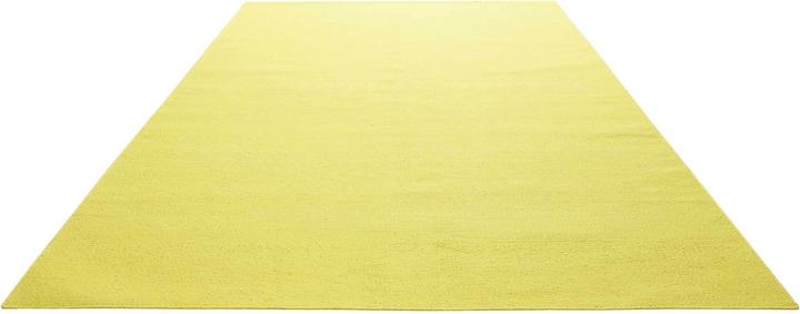 Immagine prodotto Green Looop Nizza (200 x 290 cm)