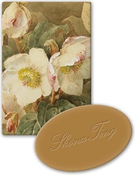 Immagine prodotto Sköna Ting Dekoseife STTVAL615 Orangenduft (Sapone duro)