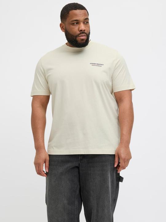 Image du produit Jack & Jones Jorislington Type Tee Ss Crew Neck Pls (8XL)