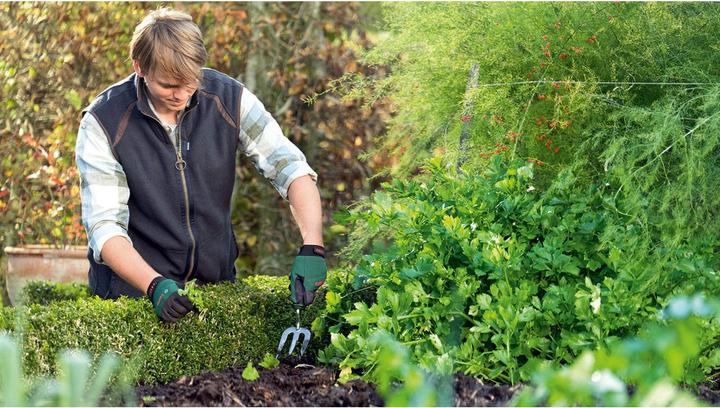 Actual product image Bosch Professional Hand fork