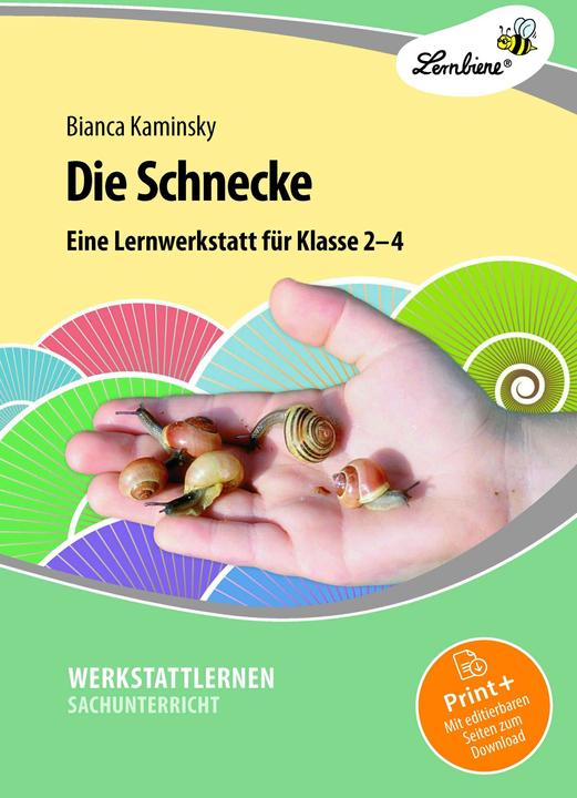 Produktbild Die Schnecke. Grundschule, Sachunterricht, Klasse 2-4 (Deutsch, Bianca Kaminsky, 2023)