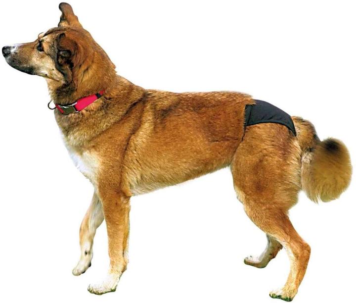 Produktbild Trixie Schutzhöschen M 40-49cm (M, Hundeoverall)