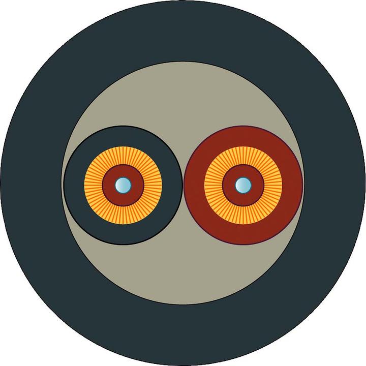 Image du produit Siemens FO robuste (3 m)