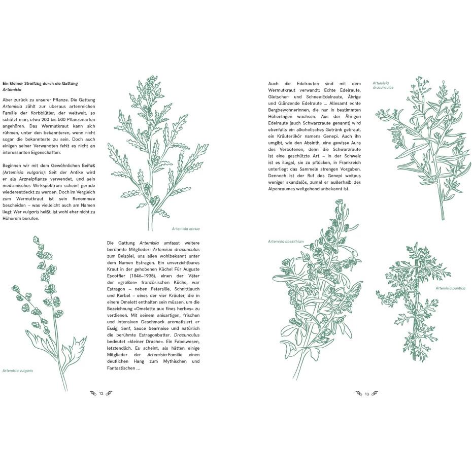 Thumbnail - Absinth, Ratgeber von Tania Brasseur Wibaut, Tamara Berger