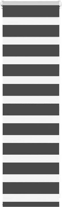 Produktbild vidaXL Zebra-Jalousie (55 x 100 cm)