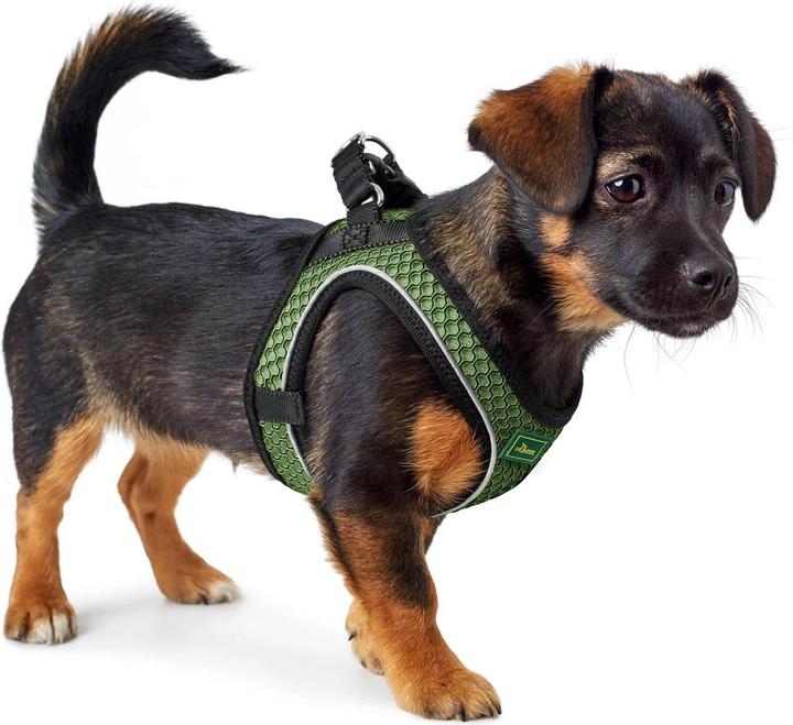 Actual product image Hunter Dog harness Hilo Comfort. S-M, green - (401673969800) (Dog, Dog sport)