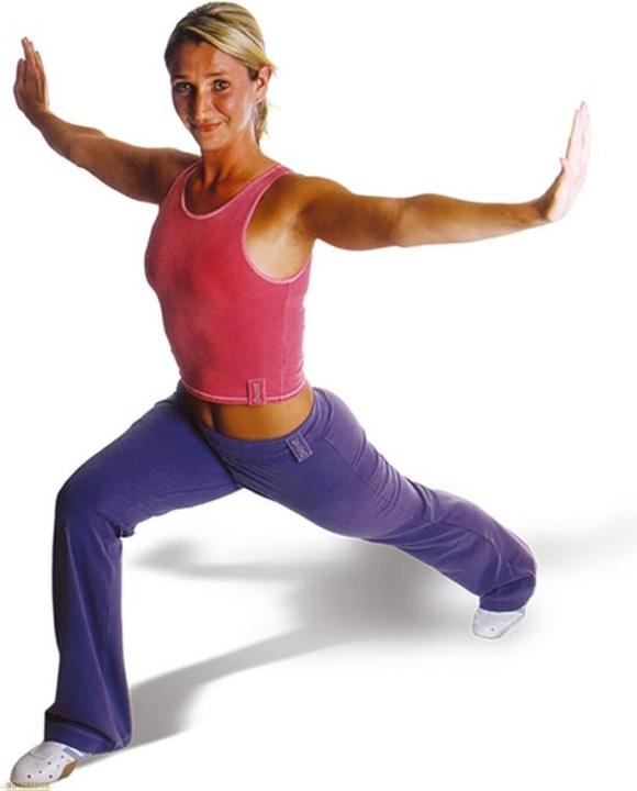 Image du produit Plaion En forme avec le yoga en 30 jours (DVD, 2003, Allemand)