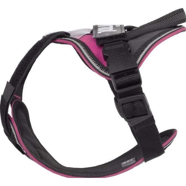 Thumbnail - Julius-K9 K9 IDC Longwalk - pink-grå, 2XS (Hund), Halsband + Leine