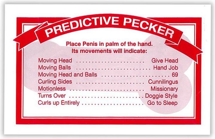 Immagine prodotto Creative Conceptions Peccatore predittivo