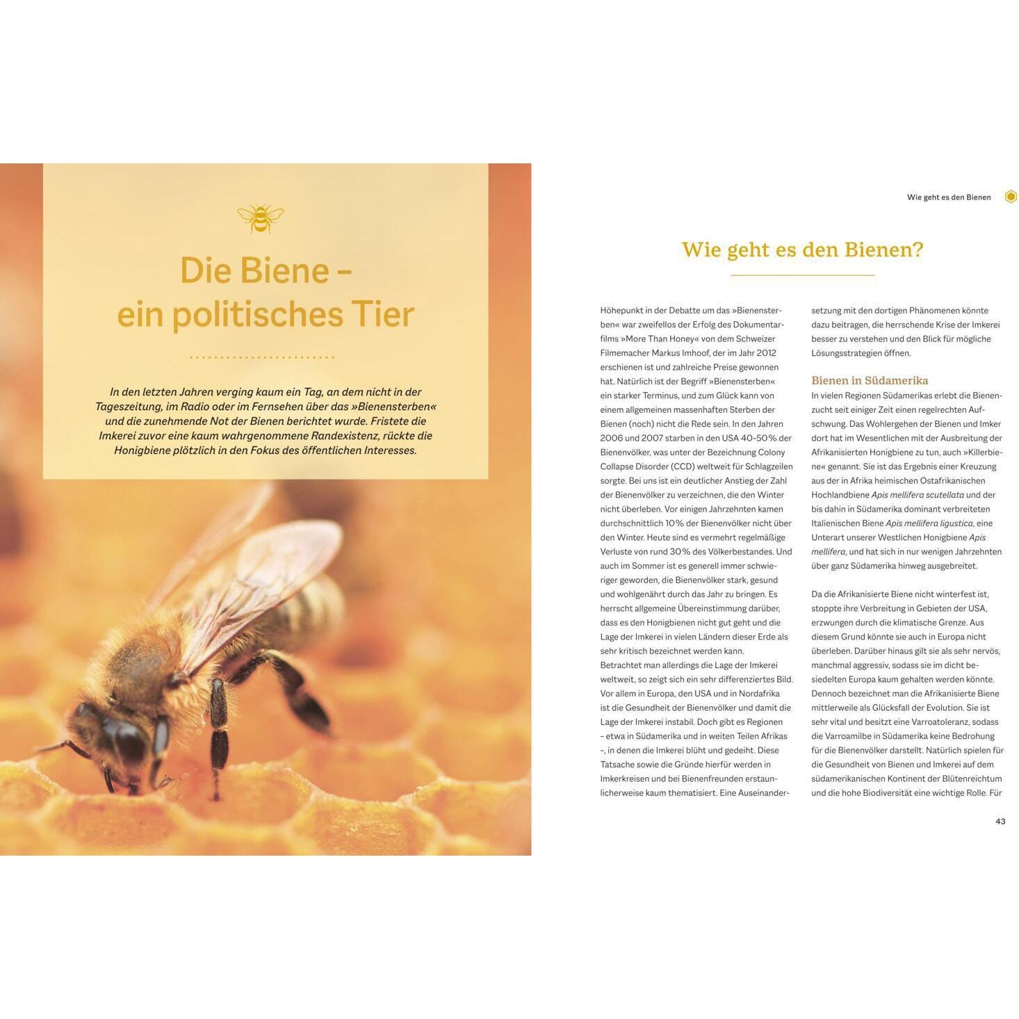 Thumbnail - Bienengemäss imkern, Ratgeber von Angelika Sust