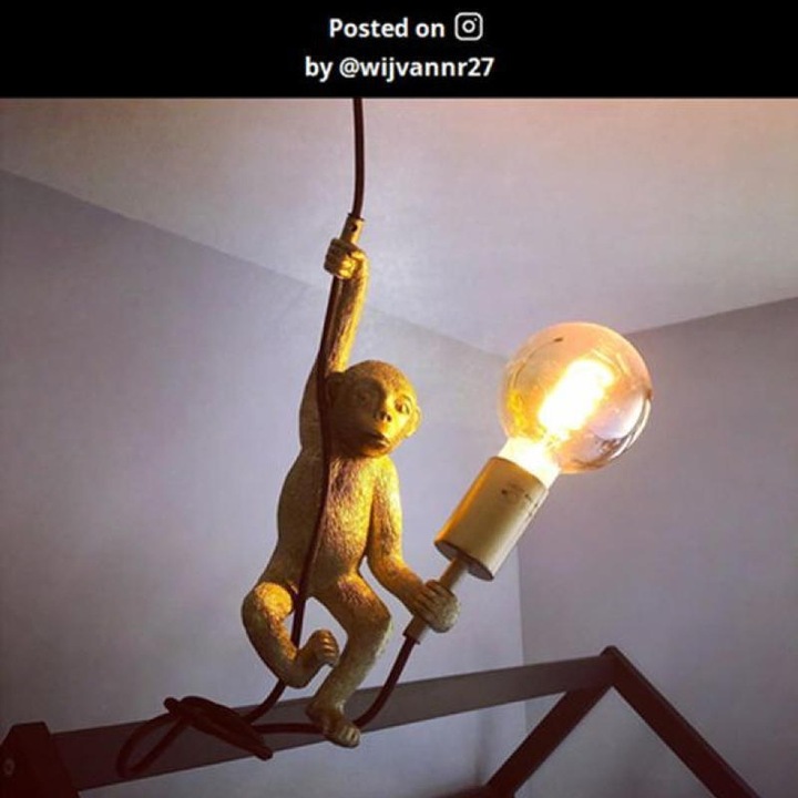 Immagine prodotto Lucide Stravaganza Chimp (E27)