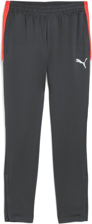 Produktbild Puma IndividualLIGA Training Pants (M)