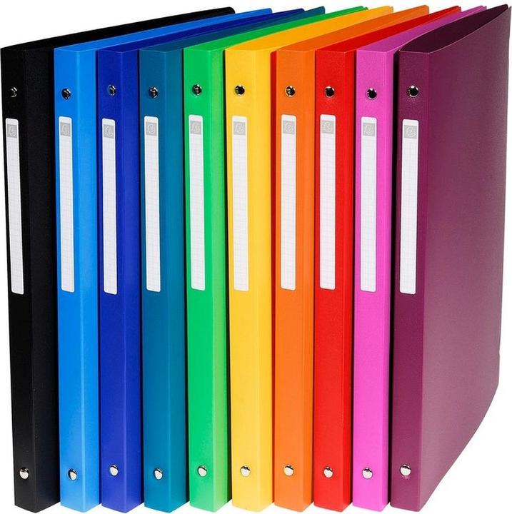 Exacompta Raccoglitori ad anelli (A4, 20 mm, 1 pz.)