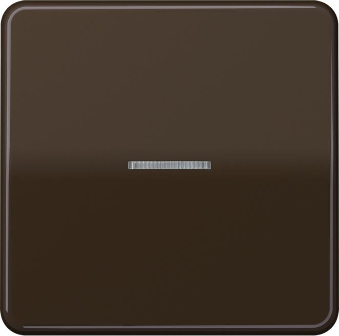 Actual product image JUNG Control rocker switch CD br glz CD101KO5BR