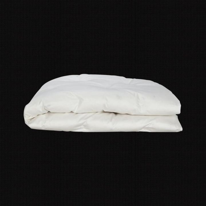 Image du produit Albis Duvet pour enfants Simba 100 x 135 cm, poids de remplissage 330 g