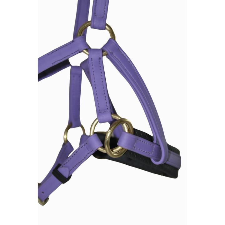 Actual product image TdeT Sidepull Biotack®