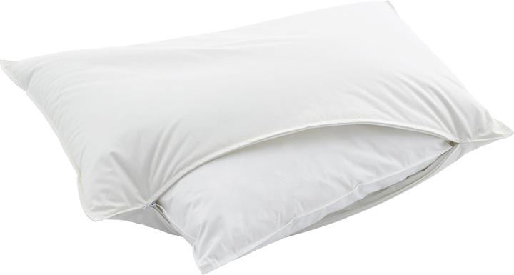 Actual product image Swiss Dream by billerbeck CLC 90 Piuma Pillow (50 x 90 cm)