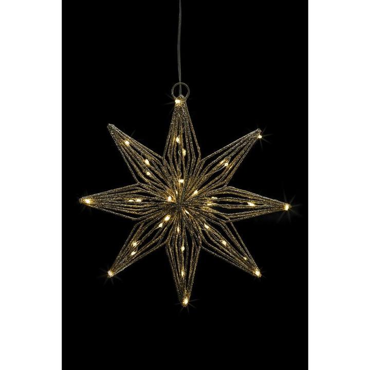 Immagine prodotto STT Svenja Star