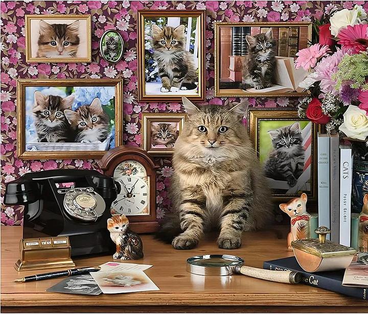 Actual product image Ravensburger My kittens (1000 pieces)