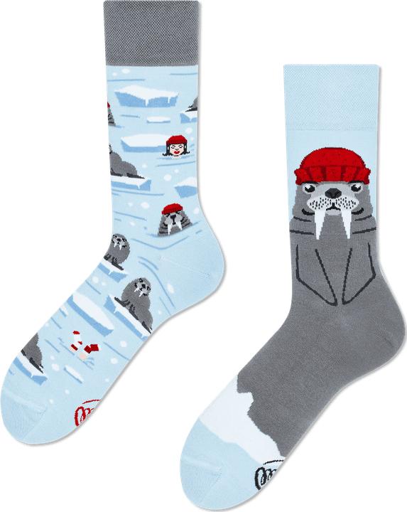 Actual product image Many Mornings The Walrus (Single pack, 39 - 42)
